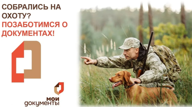 В МФЦ можно подать заявление на получение разрешения на добычу зайца-русака и лисицы в сезон охоты 2023-2024 гг.. В МФЦ можно подать заявление на получение разрешения на добычу зайца-русака и лисицы в сезон охоты 2023-2024 гг..